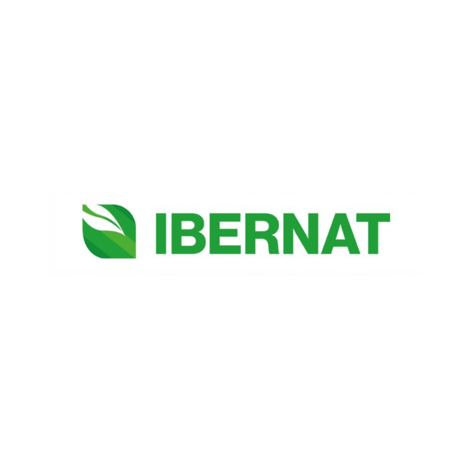 Ibernat