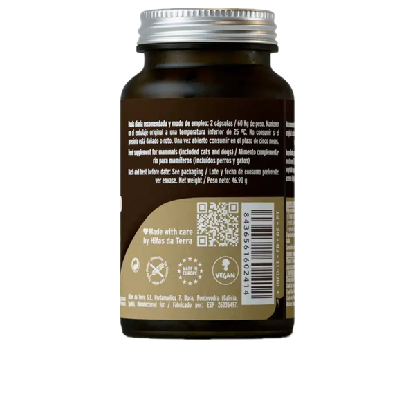 Mico Corio - 70 cápsulas - Hifas da Terra